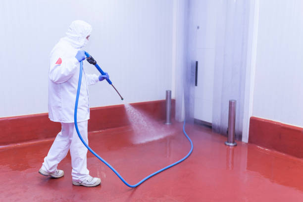 Best Building Exterior Washing  in South Bay, FL